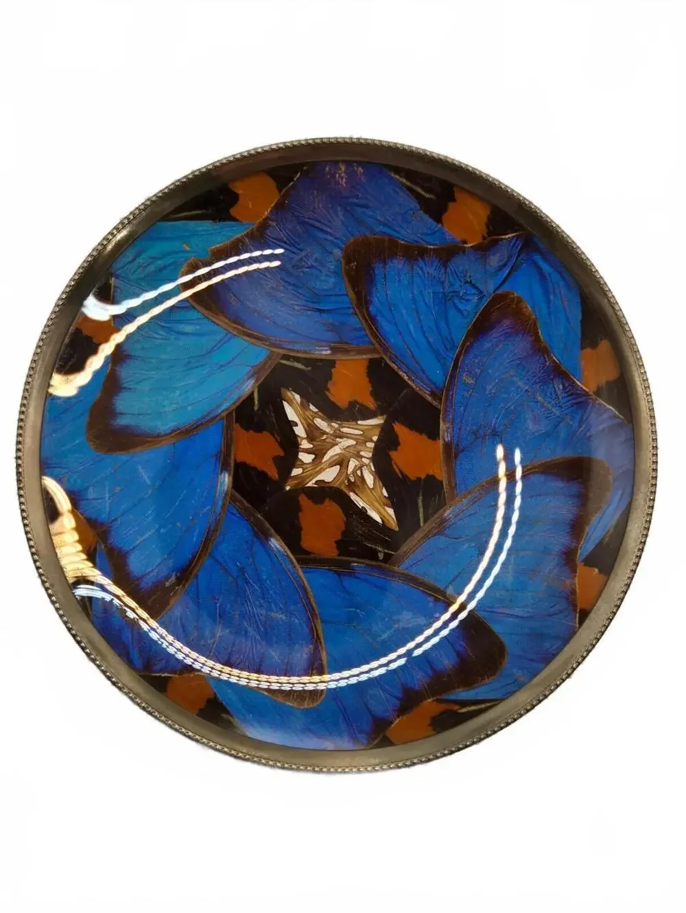 Casa Estylo Santos Vtg MCM Real Blue Morpho Butterfly Wing Art Plate 4.75”